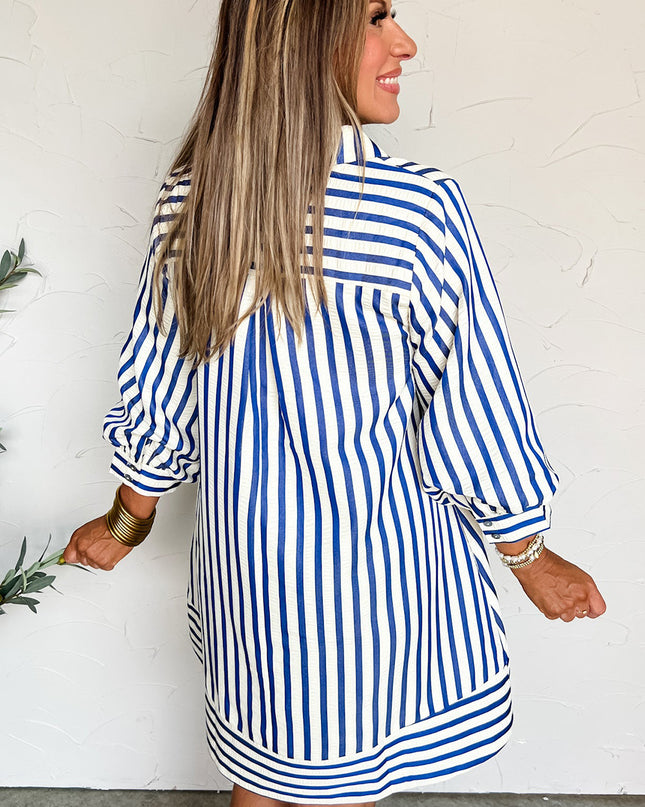 Blue Striped Collared Half Button Side Pockets Loose Fit Mini Dress