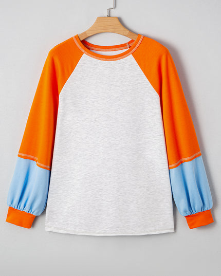 Light Grey Colorblock Raglan Sleeve Loose Fit Top