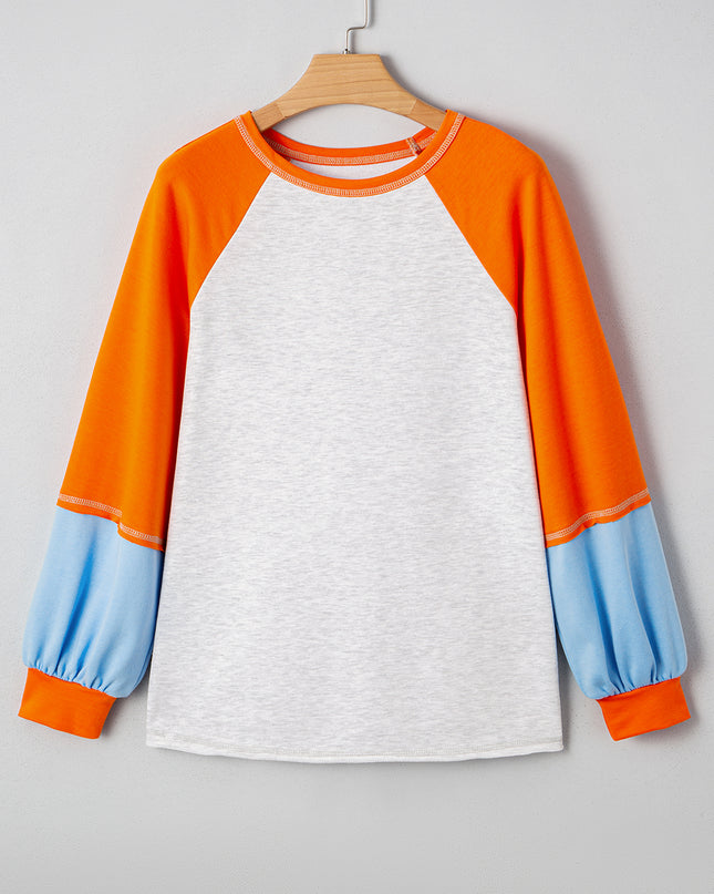 Light Grey Colorblock Raglan Sleeve Loose Fit Top