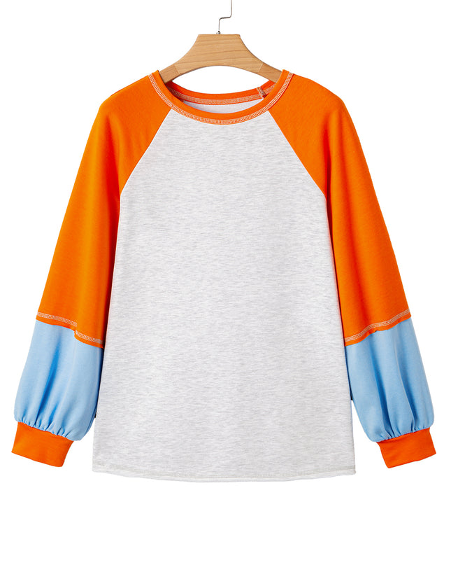 Light Grey Colorblock Raglan Sleeve Loose Fit Top